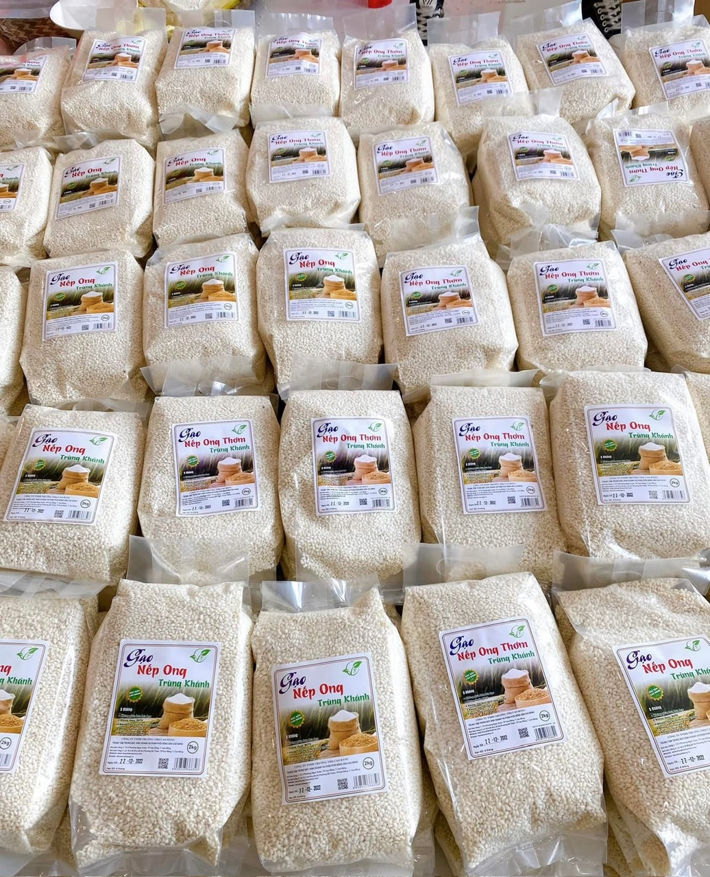 z7042122417155_0809aef92715daad3af5eeec412b9e60