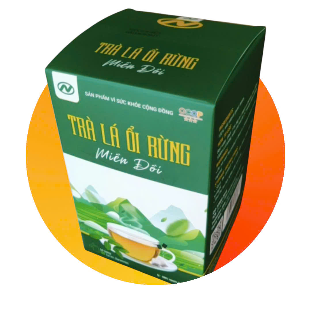 Trà lá ổi rừng Miền Đồi