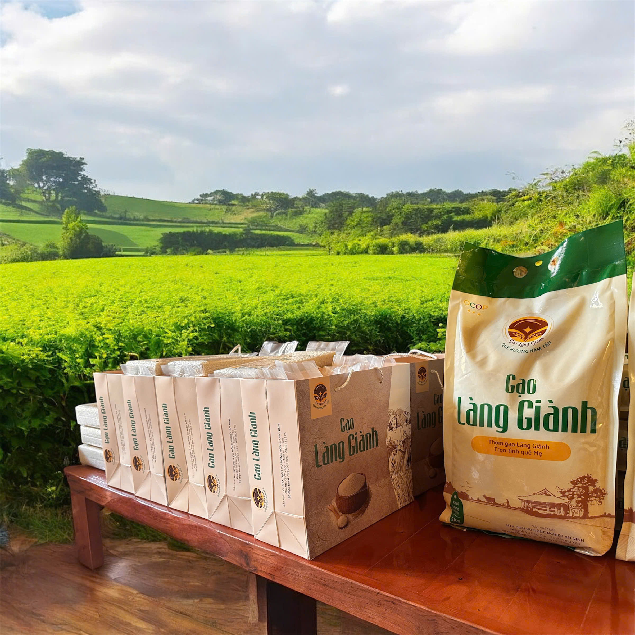 z7259634213680_0a3a4121db1c9afc34b6b0c2578cca22