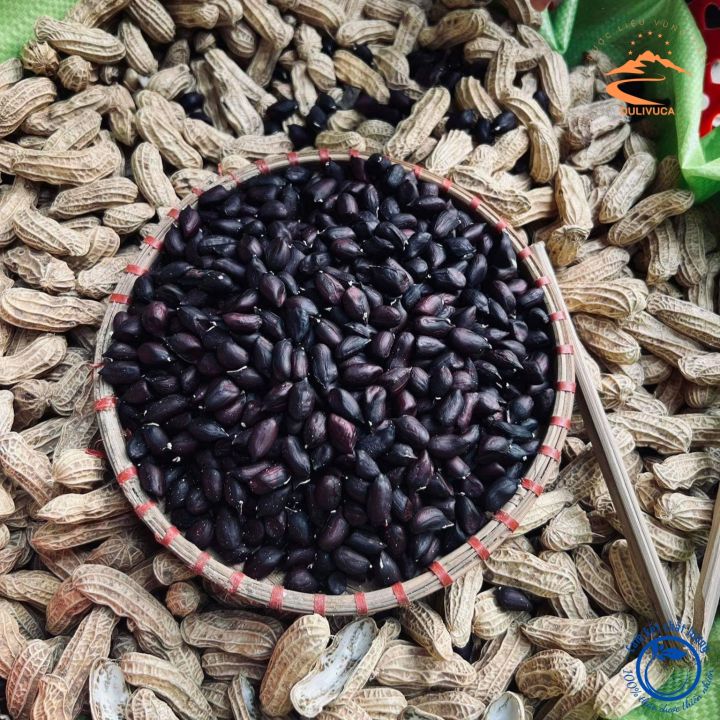 Lạc đen Cao Bằng